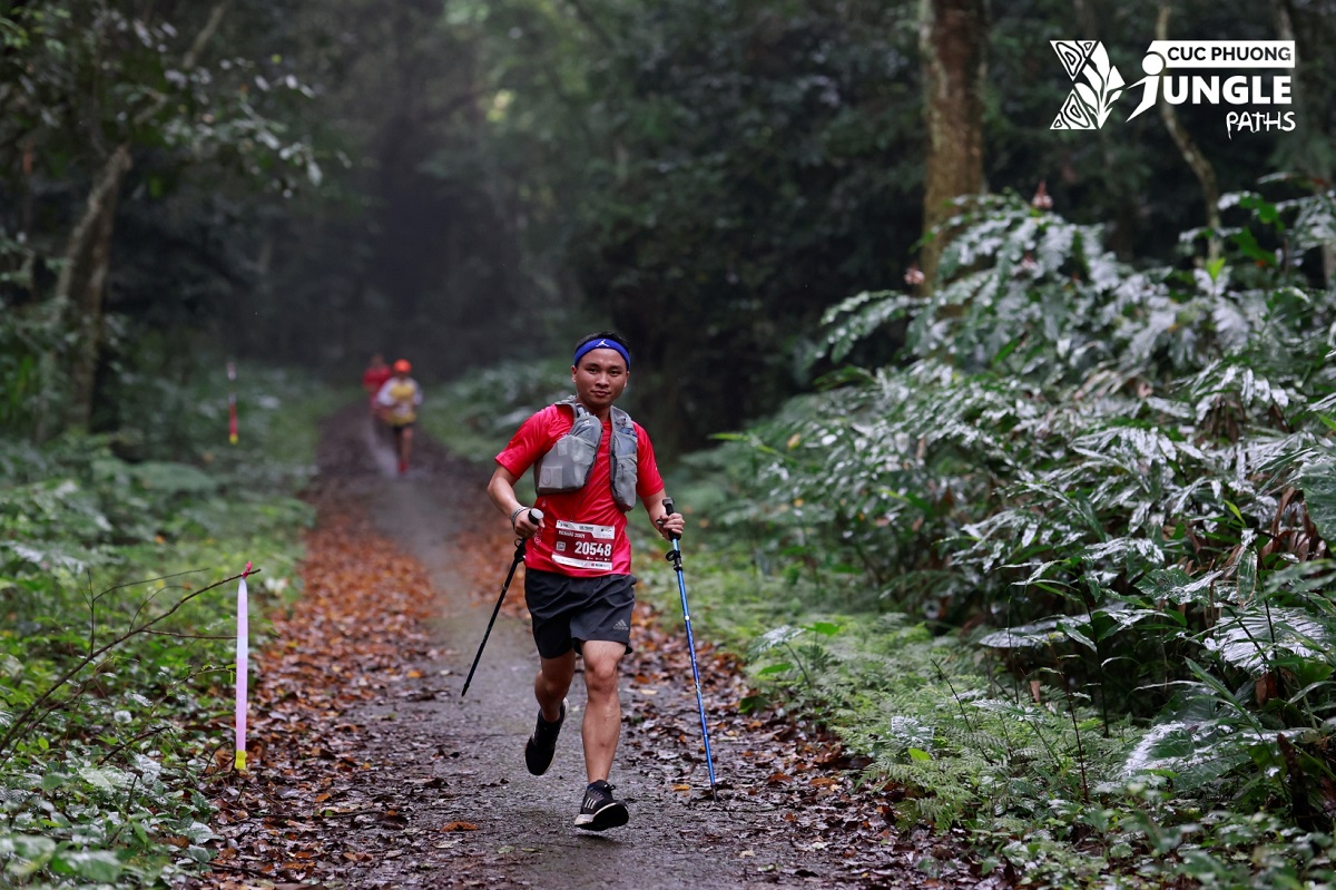 Start running inside the route of Cuc Phuong Jungle